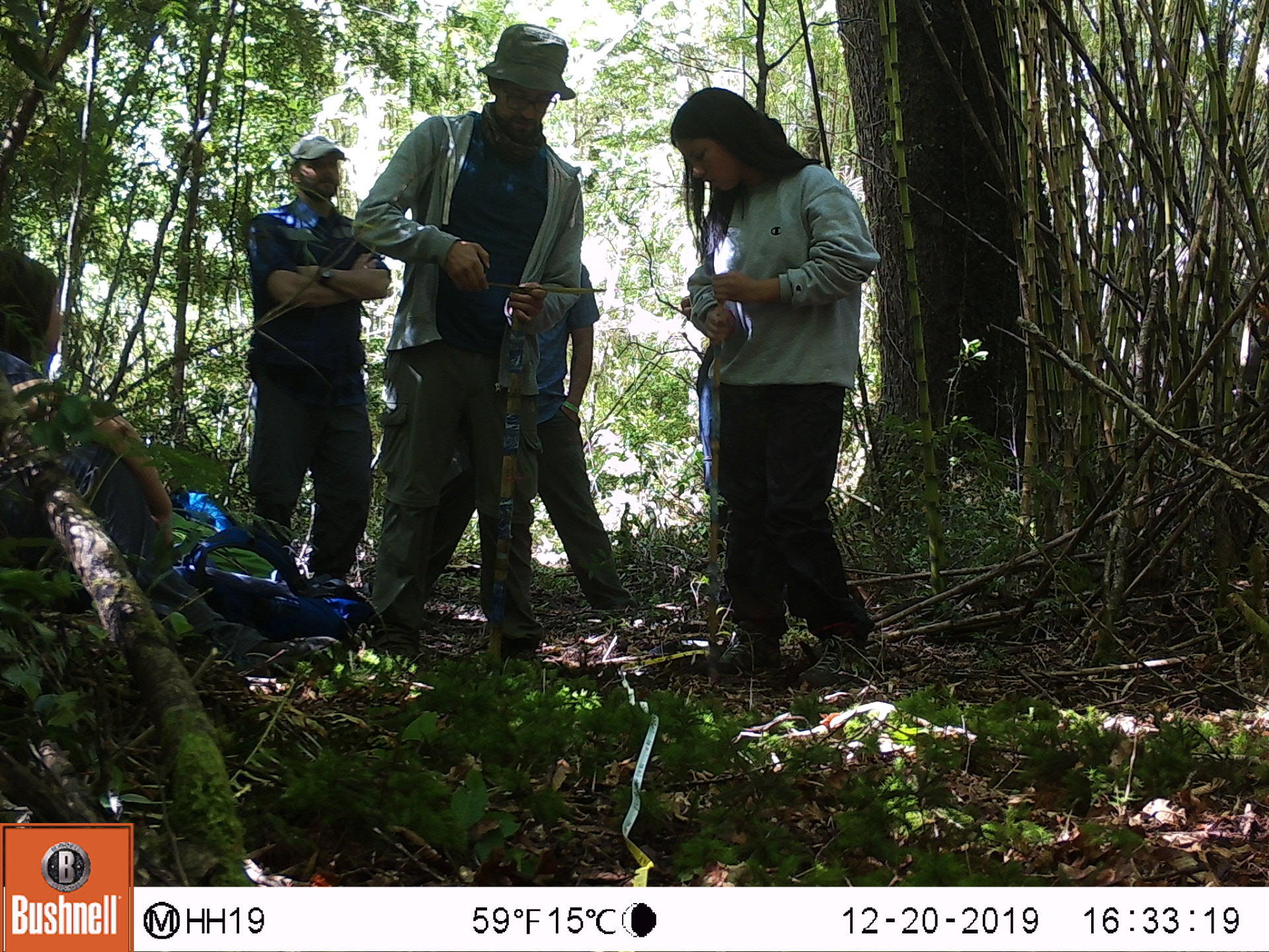 Instalacin Cmara trampa Huilo Huilo