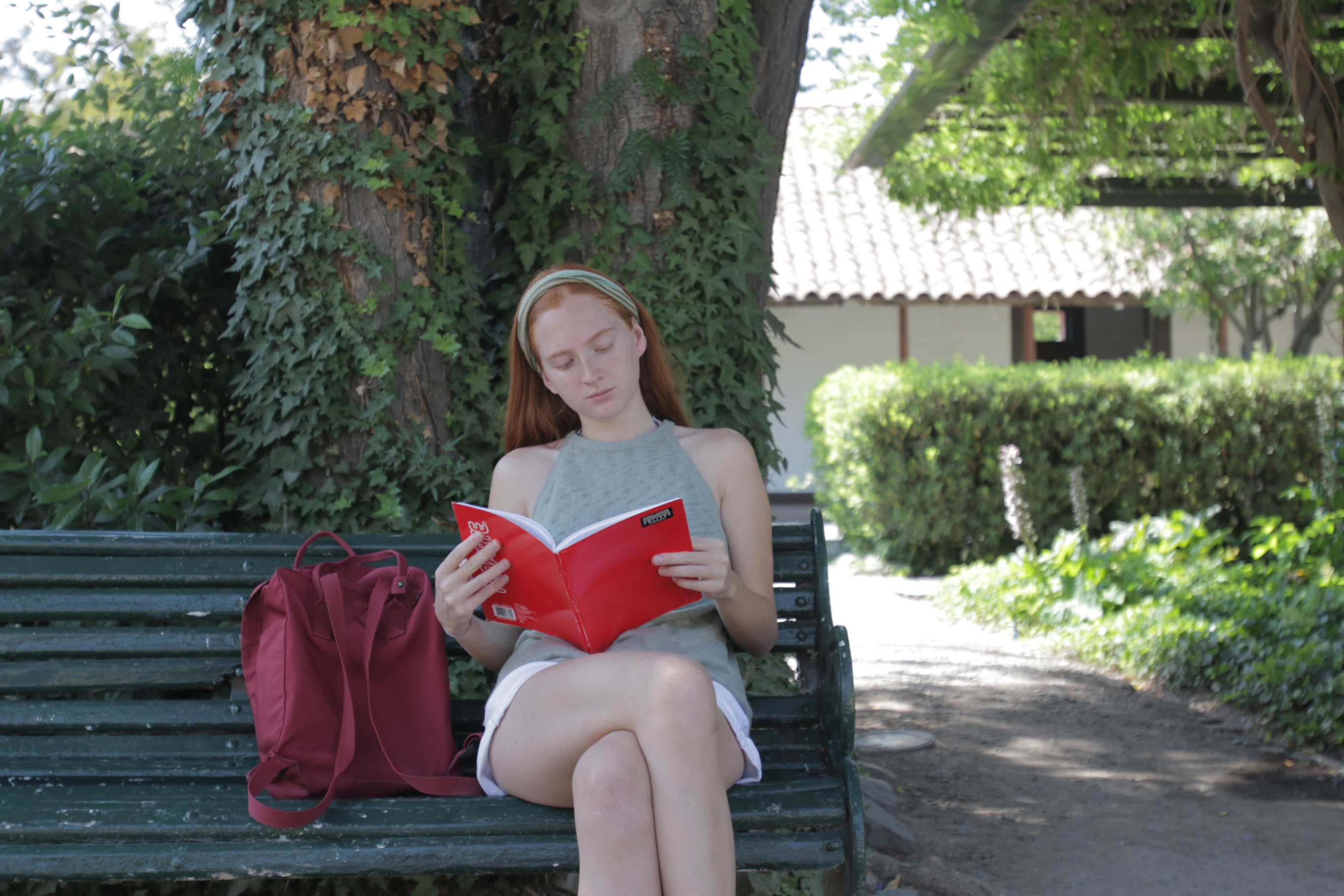 Principal escritura creativa