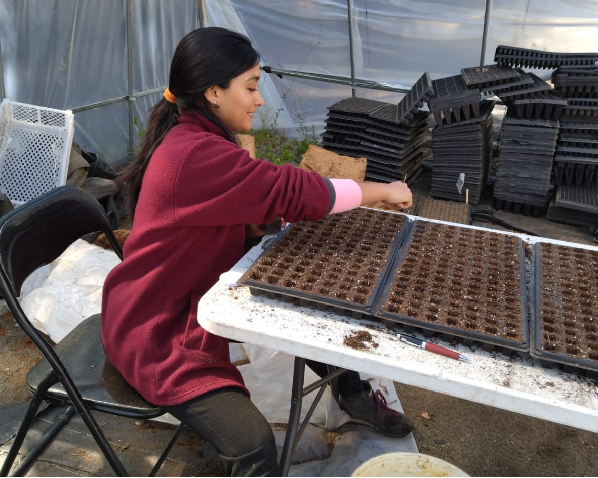 Pasanta Hemisferio WEB