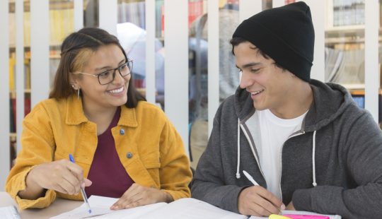 Escuela de verano online