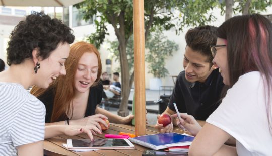 Plan Estrat&eacute;gico