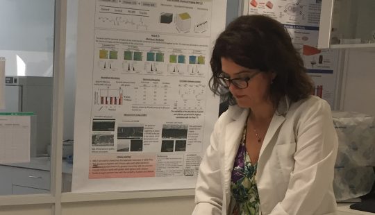 Loreto Valenzuela Fishextend