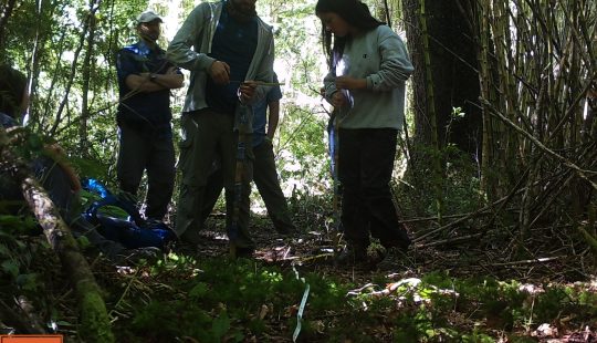 Instalacin Cmara trampa Huilo Huilo