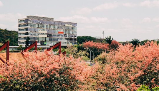 Universidad Mina Gerais