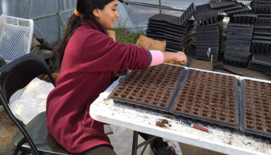 Pasanta Hemisferio WEB