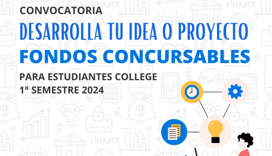 fondos concursables 2024 1